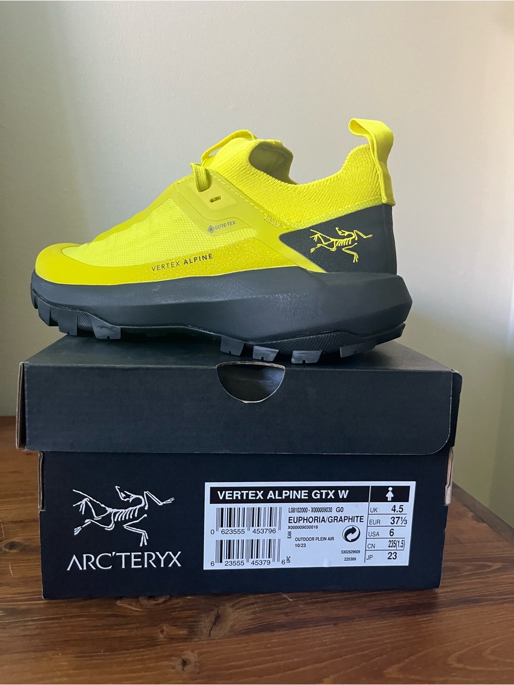 Arc'teryx Vertex Alpine GTX Women's Shoe